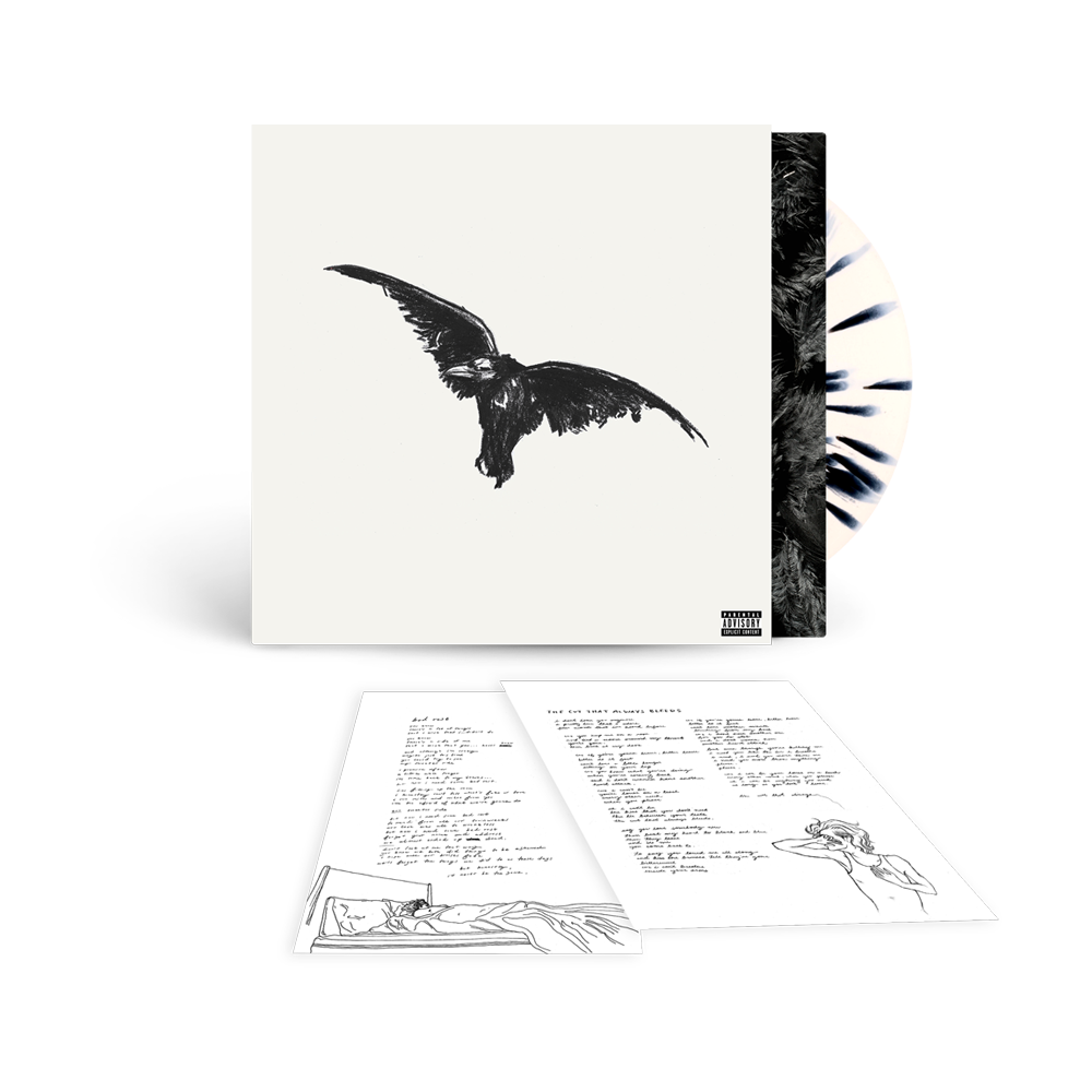 Kid Krow, Decomposed (5 Year Anniversary) LP - Conan Gray Official