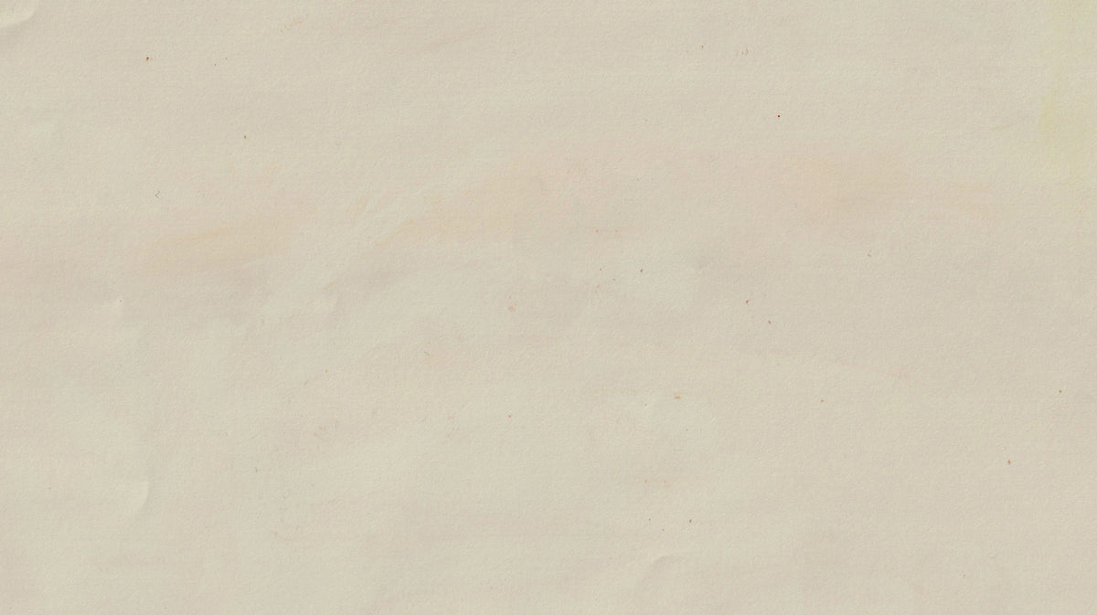 Accessories & Home - Page 2 - Conan Gray Official Store