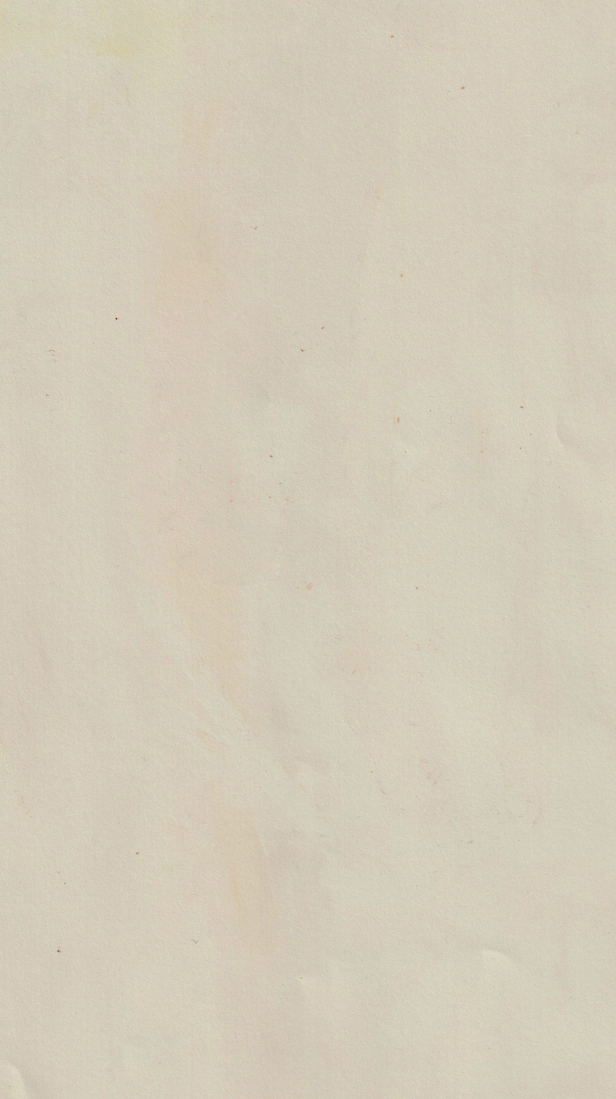 Merch - Conan Gray Official Store