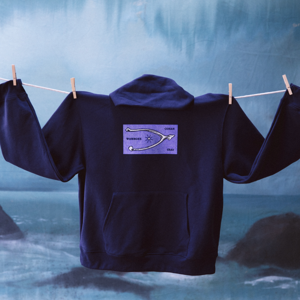 Conan Gray Wishbone Navy Hoodie 2