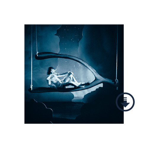 Wish Bone Cd Rapper Wishbone Deluxe Digital Album - Conan Gray Official Store