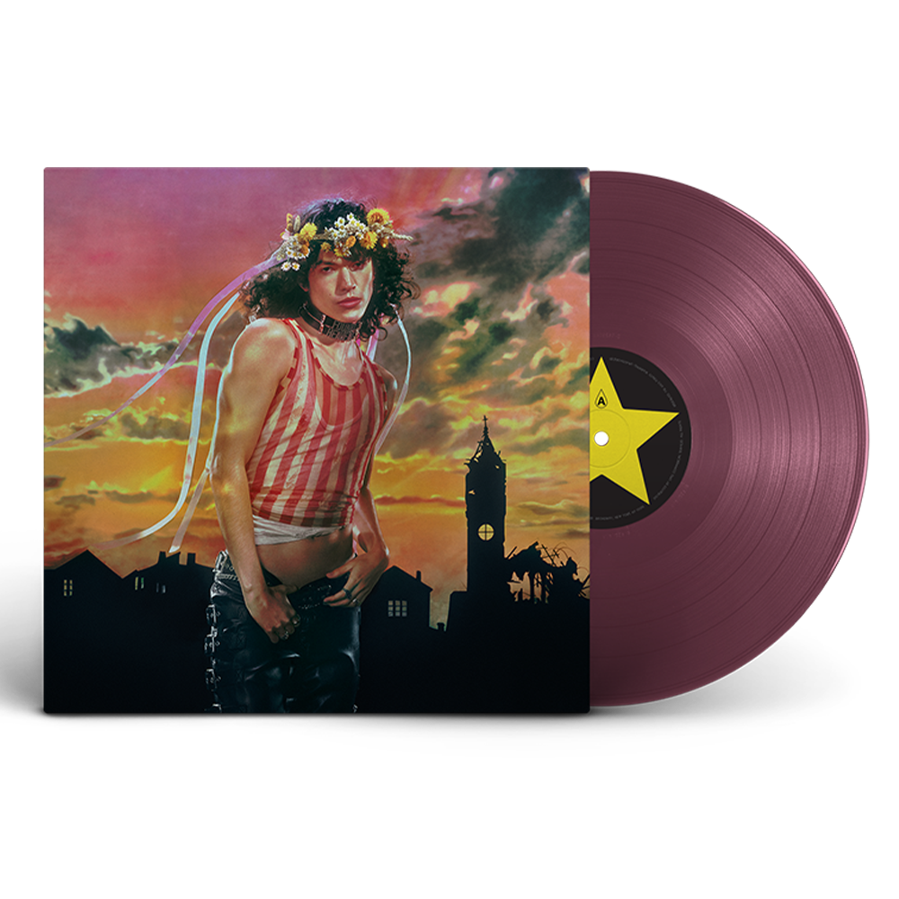 Vinyl - Conan Gray Official Store