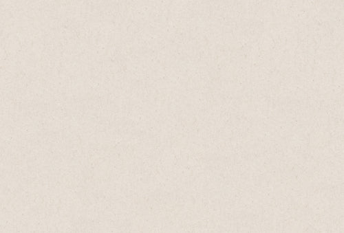 Wishbone LP (Shooting Star Edition) - Conan Gray Official Store