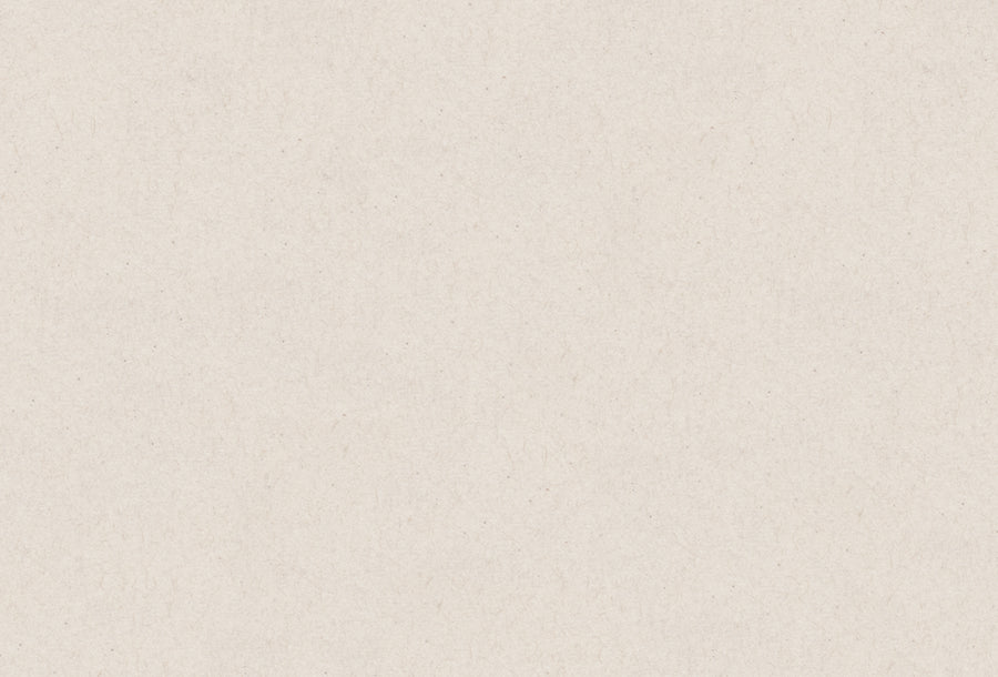 Collections - Conan Gray Official Store