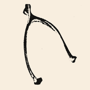 Conan Gray Official Store logo